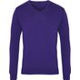 Premier Pull col V pour homme purple