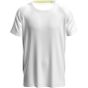 Stedman Mesh Raglan white