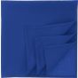 Atlantis BANDANA GOAL-S royal