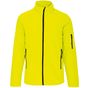 Fluorescent yellow