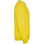 Roly Clasica jaune
