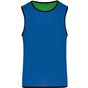 ProAct Chasuble de rugby réversible sporty_royal_blue/green