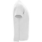 Roly Terrier blanc