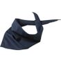 Myrtle Beach Triangular Scarf petrol