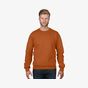 Anvil Adult Fashion Crewneck Sweat