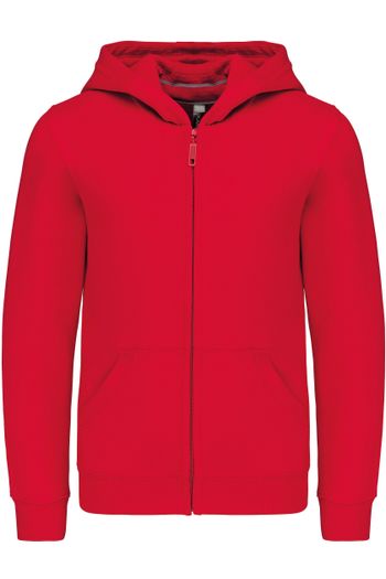 Image produit Sweat-shirt capuche zippé enfant