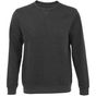 Sol's Sully anthracite_chine