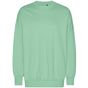 Tiger Cotton Oversized Sweatshirt dusty_mint