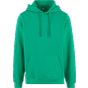 Build Your Brand Basic Basic Hoody Grass green