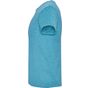 Roly Fox turquoise_chine