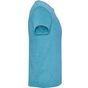 Roly Fox turquoise_chine