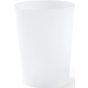Stamina PONTAL transparent