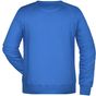 James&Nicholson Men´s Sweat cobalt