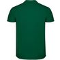 Roly Star vert_bouteille