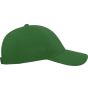 Atlantis Zoom Cap green