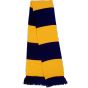 Result Team Scarf navy/gold