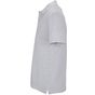 Sol's Pegase gris_chine