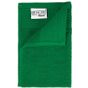 The One Towelling Classic Guest Towel green