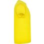 Roly Braco jaune