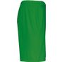 ProAct Short de sport green