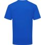 fruit of the loom Pure cotton T royal_blue