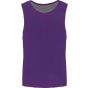 ProAct Chasuble réversible multisports unisexe sporty_purple/sporty_grey