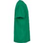 Build Your Brand Basic Basic Round Neck T-Shirt C green