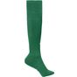 James&Nicholson Team Socks green