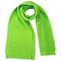 Myrtle Beach Promotion Scarf spring_green