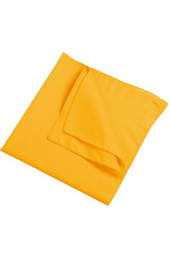 Image produit Bandana