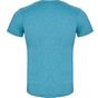 Roly Fox turquoise_chine
