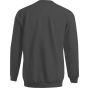 Promodoro Men's Sweater graphite