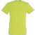 Sol's Regent vert_pomme
