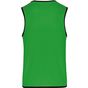 ProAct Chasuble de rugby réversible sporty_royal_blue/green