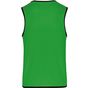 ProAct Chasuble de rugby réversible sporty_royal_blue/green