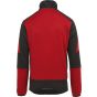 Regatta Men's E-Volve Stretch Midlayer classic_red/black