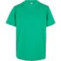 Build Your Brand Essentials Kids Basic Tee Grass green