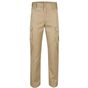 Velilla Pantalon multipoches stretch beige