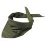 Myrtle Beach Triangular Scarf olive