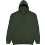 AWDis Just Hoods College Hoodie forest_green