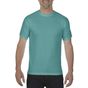 Comfort colors Adult Tee seafoam
