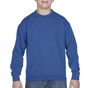 Gildan Youth Crewneck Sweatshirt royal