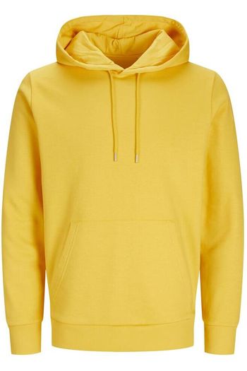 Image produit Sweat à capuche unisexe