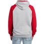 Jerzees Nublend® colour-block raglan hooded sweatshirt oxford/true_red