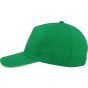 Atlantis Start Five Sandwich Cap green/white