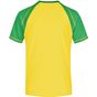 James&Nicholson Men´s Raglan-T yellow/frog