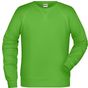 James&Nicholson Men´s Sweat lime_green