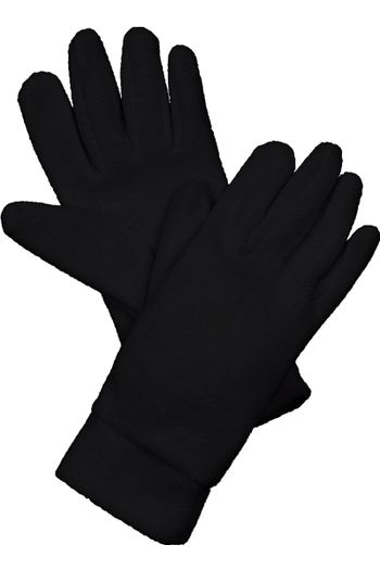 Image produit Gants en polaire