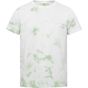 Roly Joplin vert_mist