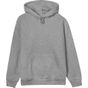 True Blanks by H&M Group Womens Regular Hoodie grey_melange